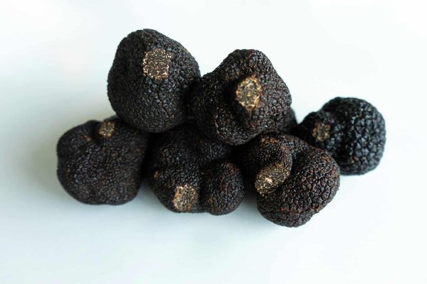 Comment découvrir les traditions de la cueillette des truffes en Italie ?
